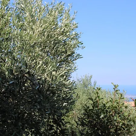 Corina * Vaccarizzo Albanese