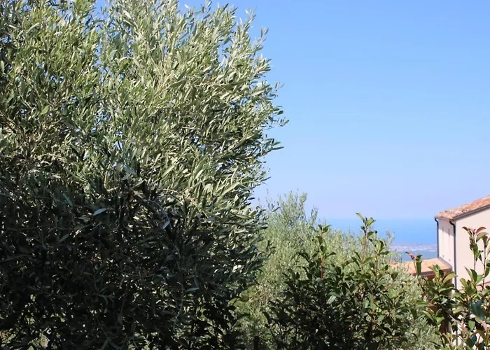 Corina * Vaccarizzo Albanese